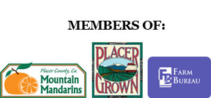 Members of the Mountain Mandarins Association and Farm Bureau